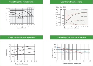 Akumulator AGM Voltage 12V 65Ah VE12-65 (Żywotność 6-9 lat)