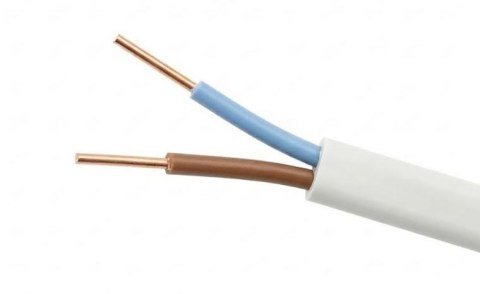 Przewód elektryczny drut płaski YDYp 450/750V 2x1,5mm2 ELEKTROKABEL biały 100m