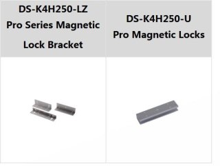 Hikvision DS-K4H250S