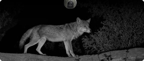 Kamera IP Ezviz EB8 4G 4K Kit 8MP z panelem słonecznym 8W 4G Wi-Fi