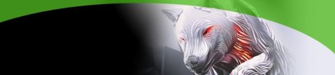 DYSK SEAGATE IronWolf ST10000VN000 10TB DYSK SEAGATE IronWolf ST10000VN000 10TB