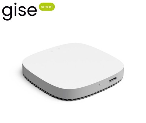 GISE Smart Bramka WiFi Zigbee | Tuya | GGT-ZB GISE Smart Bramka WiFi Zigbee | Tuya | GGT-ZB