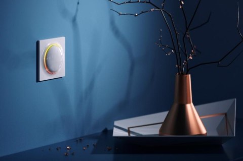 Przycisk Walli Switch FIBARO FGWDSEU-221 Przycisk Walli Switch FIBARO FGWDSEU-221