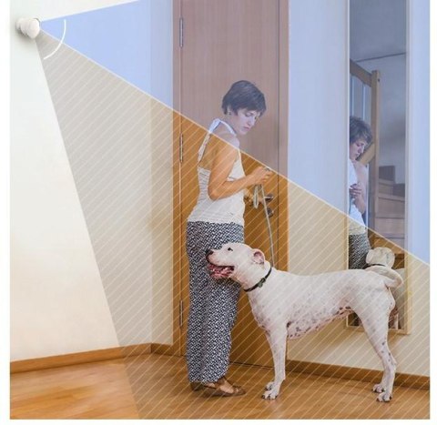 Zestaw Smart Home EZVIZ B1 Zigbee WiFi 2 Czujniki Zestaw Smart Home EZVIZ B1 Zigbee WiFi 2 Czujniki