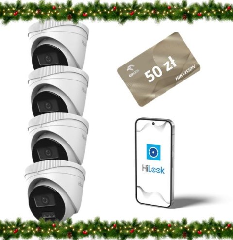 Kamera IP Hilook by Hikvision kopułka 4MP IPCAM-T4-30DL Opakowanie zbiorcze 4 szt.